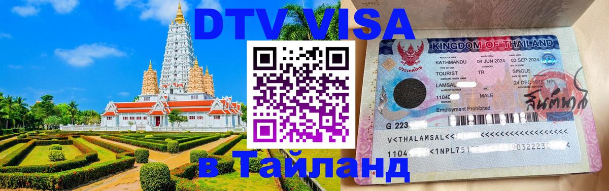 Оформление DTV визы под ключ: стоимость и тарифы, только загранпаспорт - Саратов  05.10.2025 